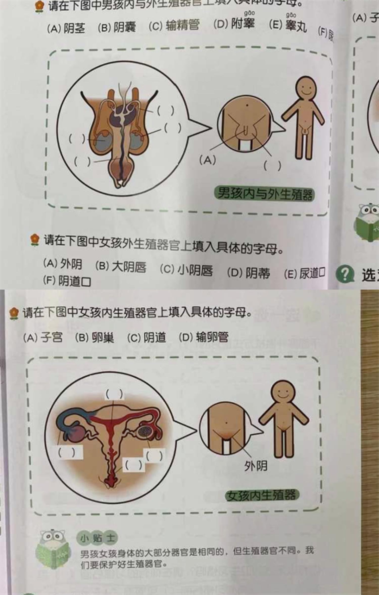 杭州小学成长手册有什么用,家长吐槽小学课本教材