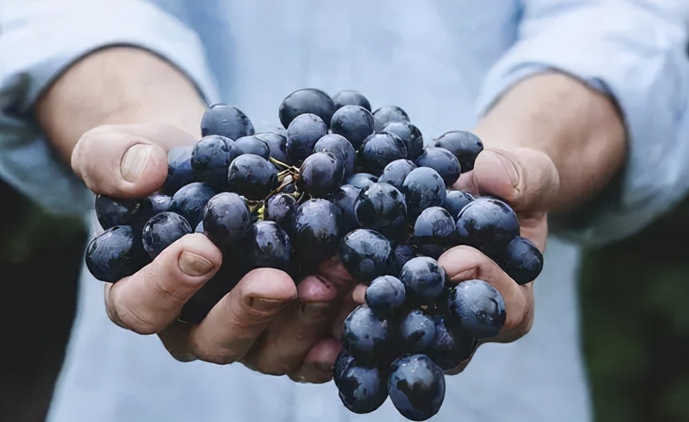饮食上吃对了，白癜风才能更快治好