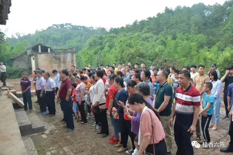 彩旗飘舞，鞭炮阵阵，六陈镇外嫁女集体回娘家，助力乡村风貌提升