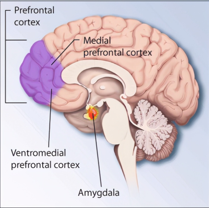 ptsd在哪里诊断,ptsd为什么不能彻底治愈
