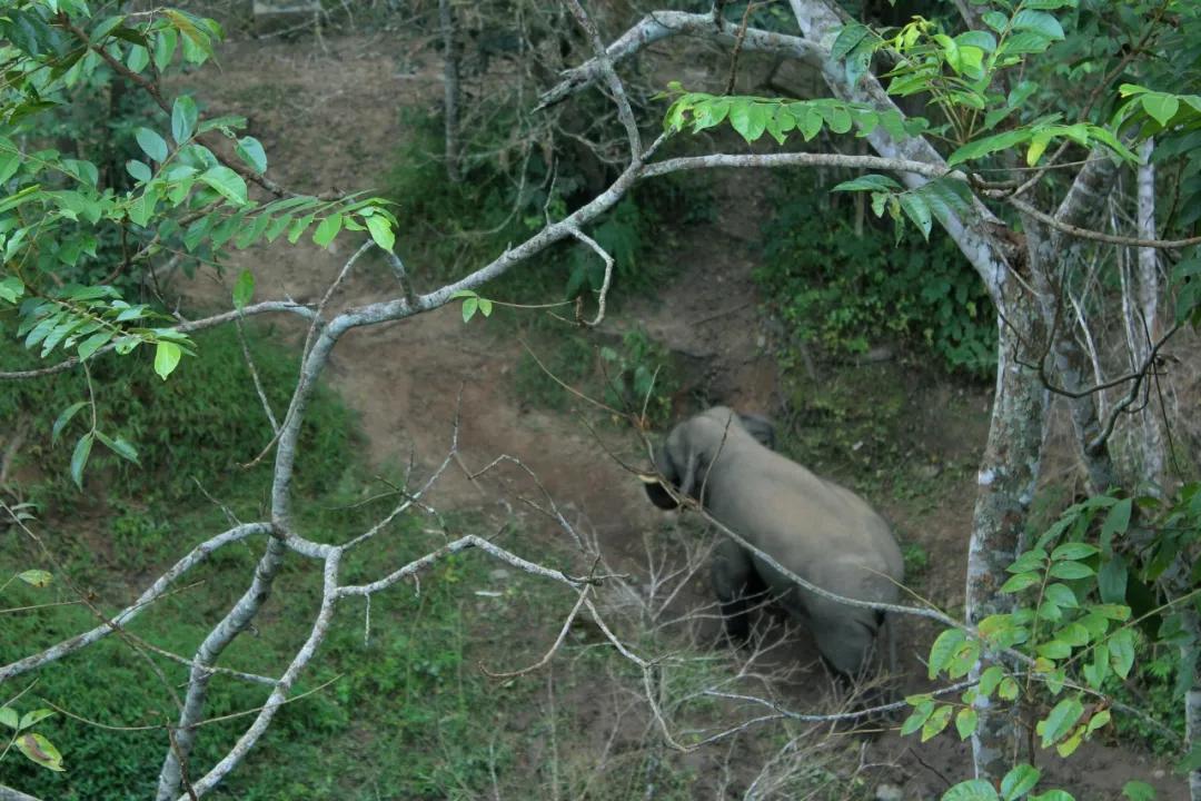 云南淡季旅游线路推荐,云南春季旅行推荐