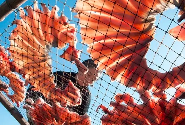 比厦门安静的海滨城市,比厦门安静10倍