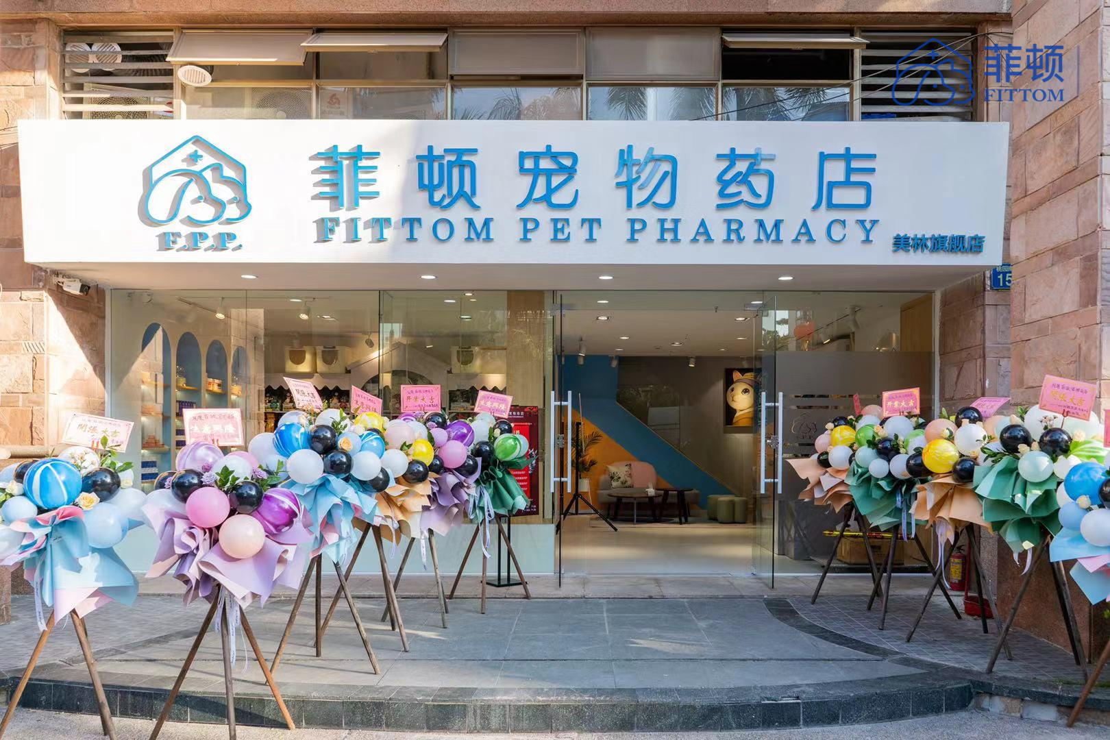 广州菲顿宠物线下康复靠谱吗,菲顿宠物