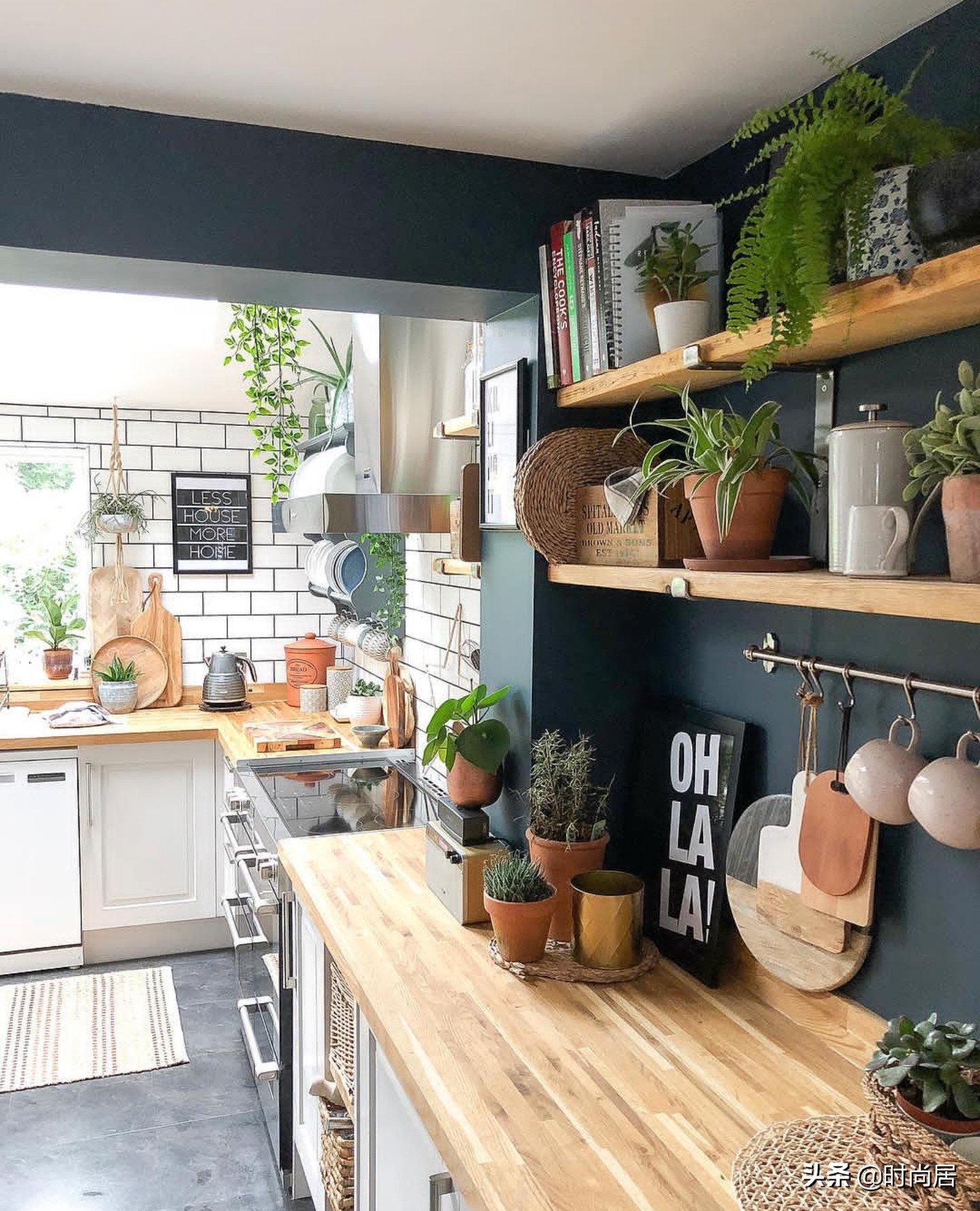 如何营造一个热带雨林花园,室内花园改造房间