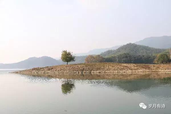 马景良：不念过往，奔诗和远方