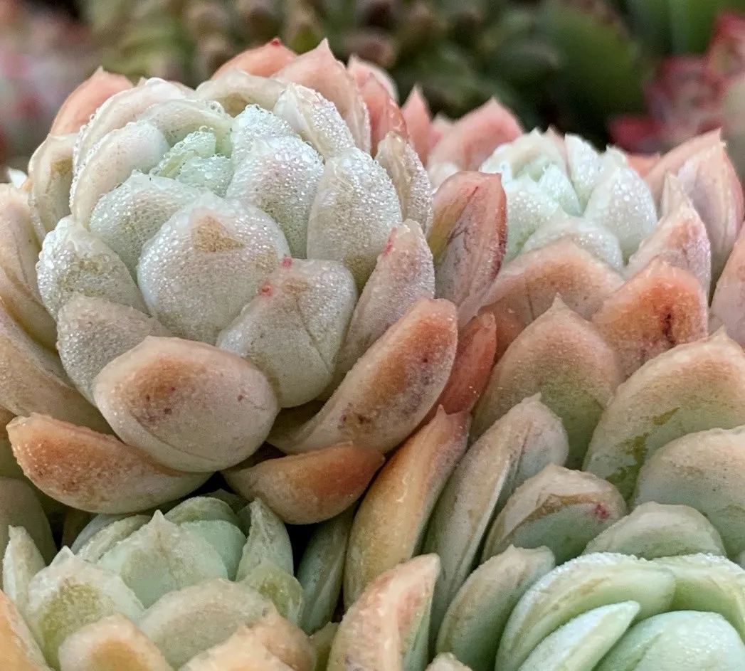 禁足的日子收获颇多,禁足