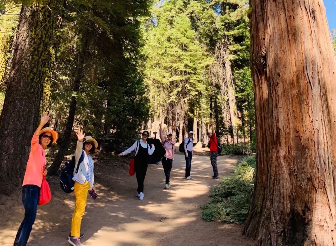 厦门市优山美地,优山美地推荐