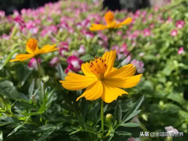 最容易被误解的8个文史常识,经常被误解的文史常识