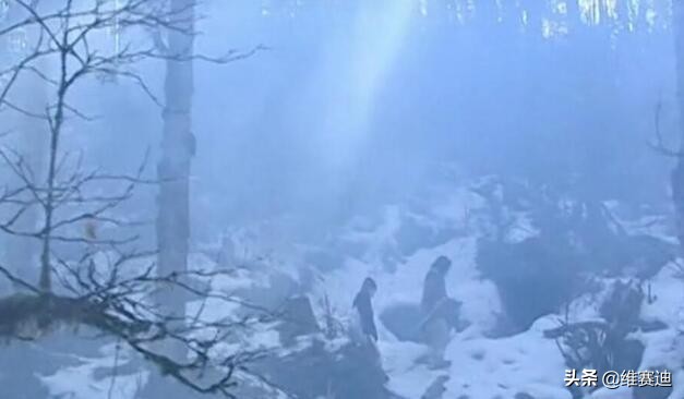 现在翻拍为什么火,翻拍老版电视剧有哪些