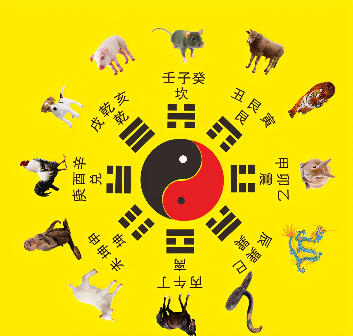 农历辛丑牛年哪个生肖命犯太岁,辛丑牛年犯太岁的生肖