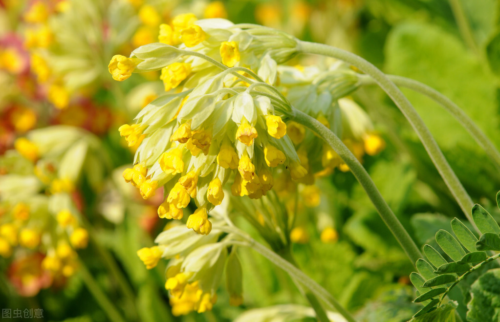 常用的流行性感冒药,治疗流行性感冒药有哪些
