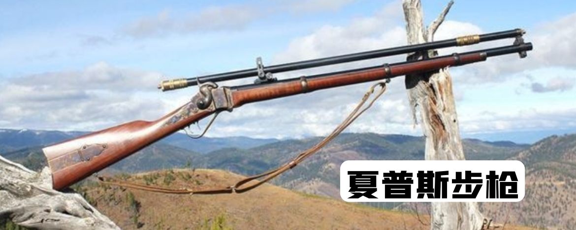 美国枪发展历史视频,美国枪史