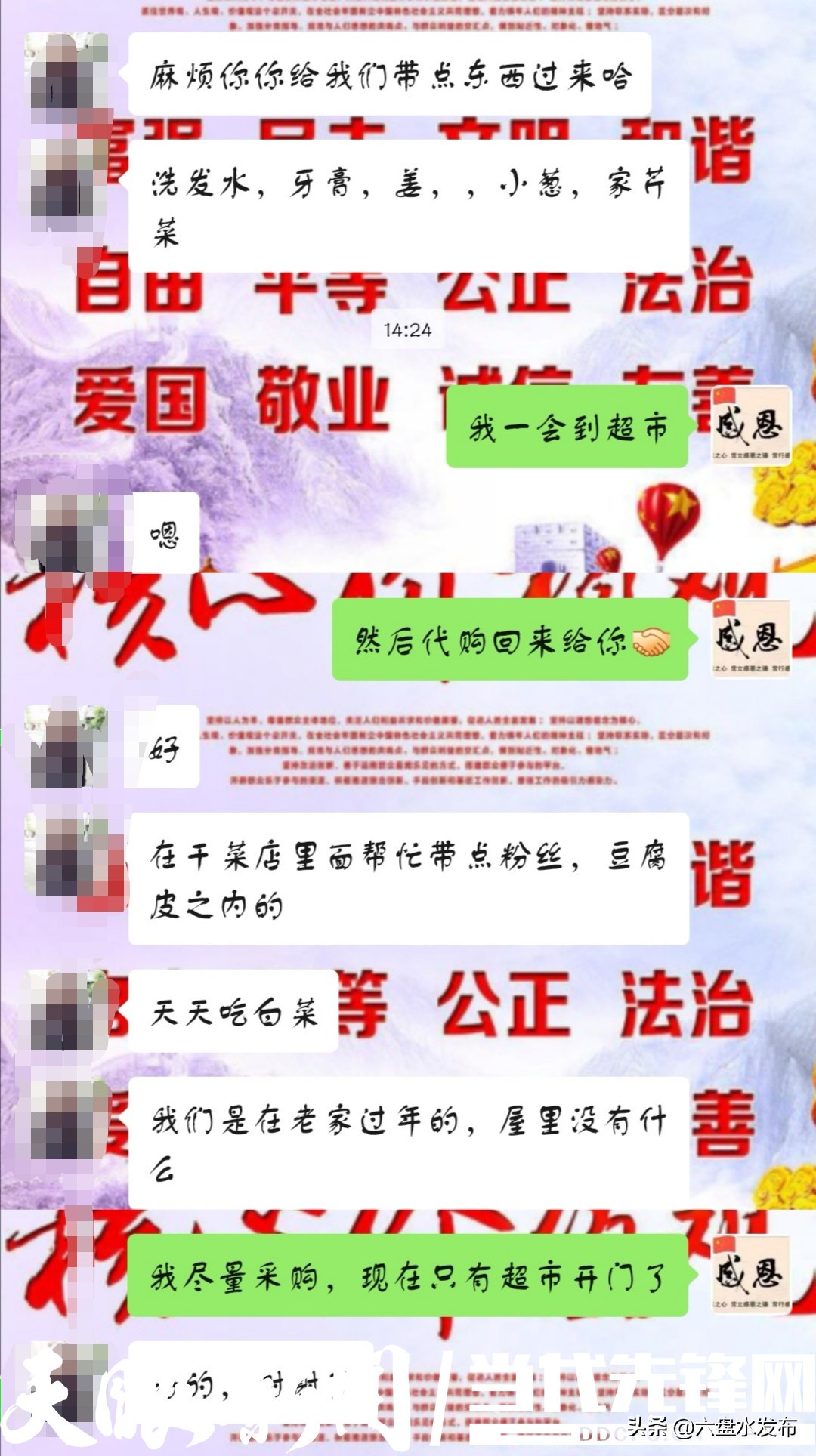 党员代购员防疫,党员志愿队送物资