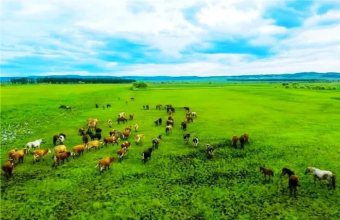 黑河挨着哪里,黑河远方文学