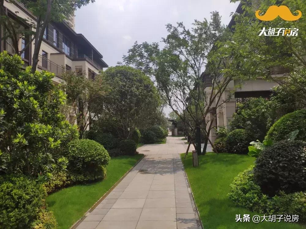 长沙一个让炒房团颤抖的城市,长沙炒房最新消息