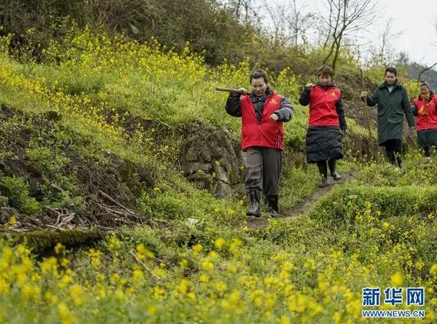 农资“一站式”到家!疫情下的春耕,他们还有哪些好办法?