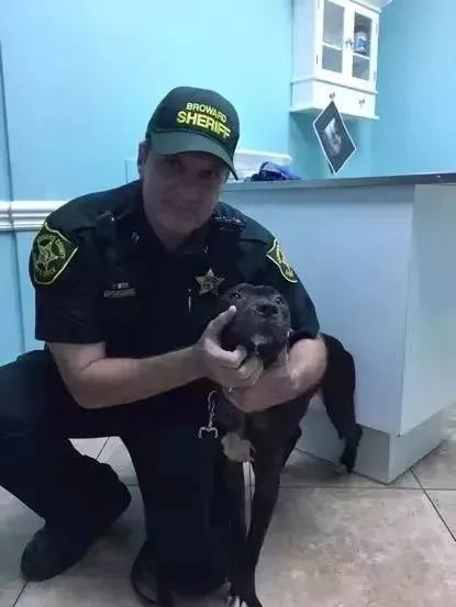 缉毒犬会染上毒瘾吗知乎文章,缉毒犬染上毒瘾怎么办