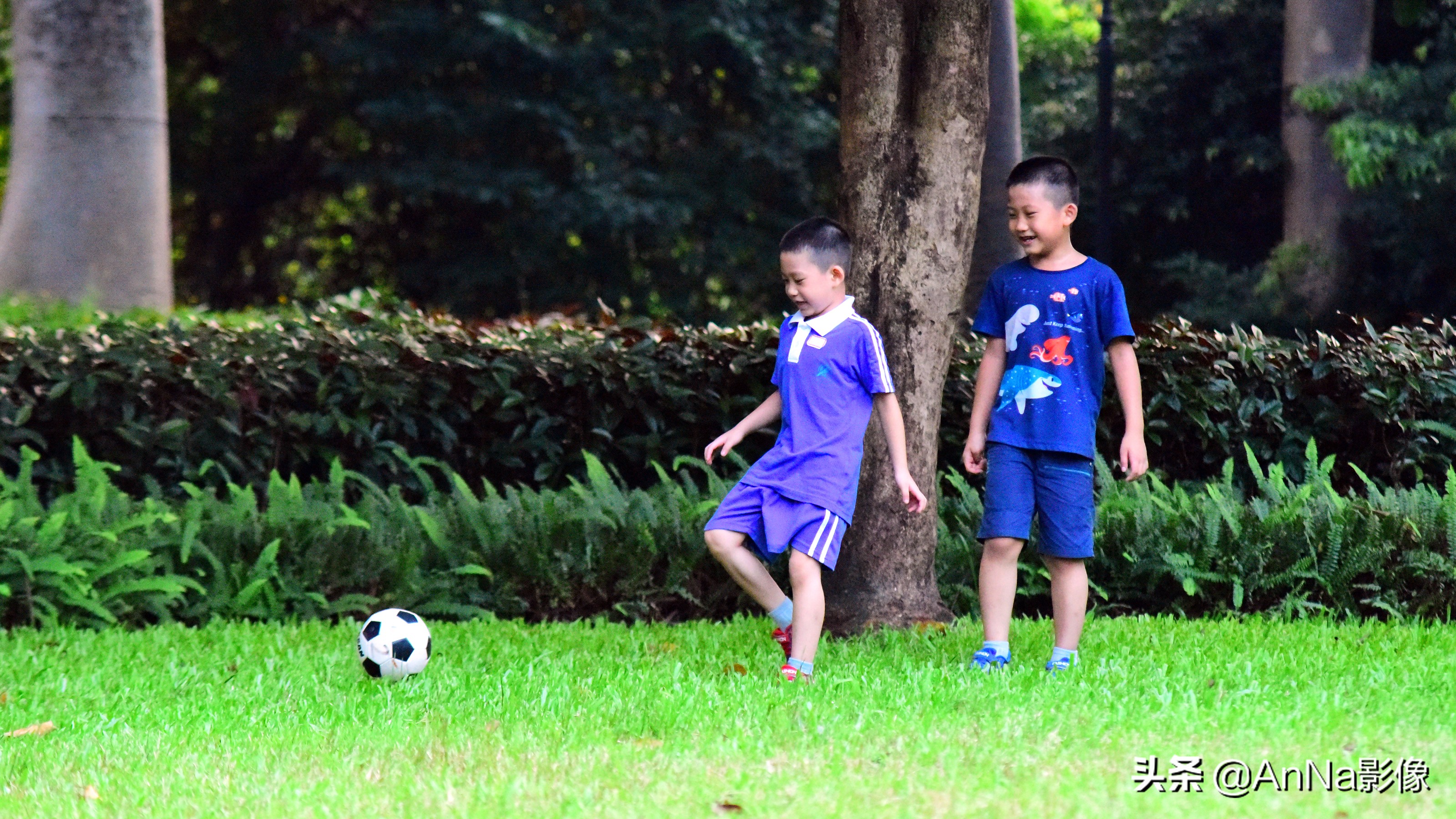 一大片绿荫草地成为孩子们的乐园,一片绿地就是孩子的乐园