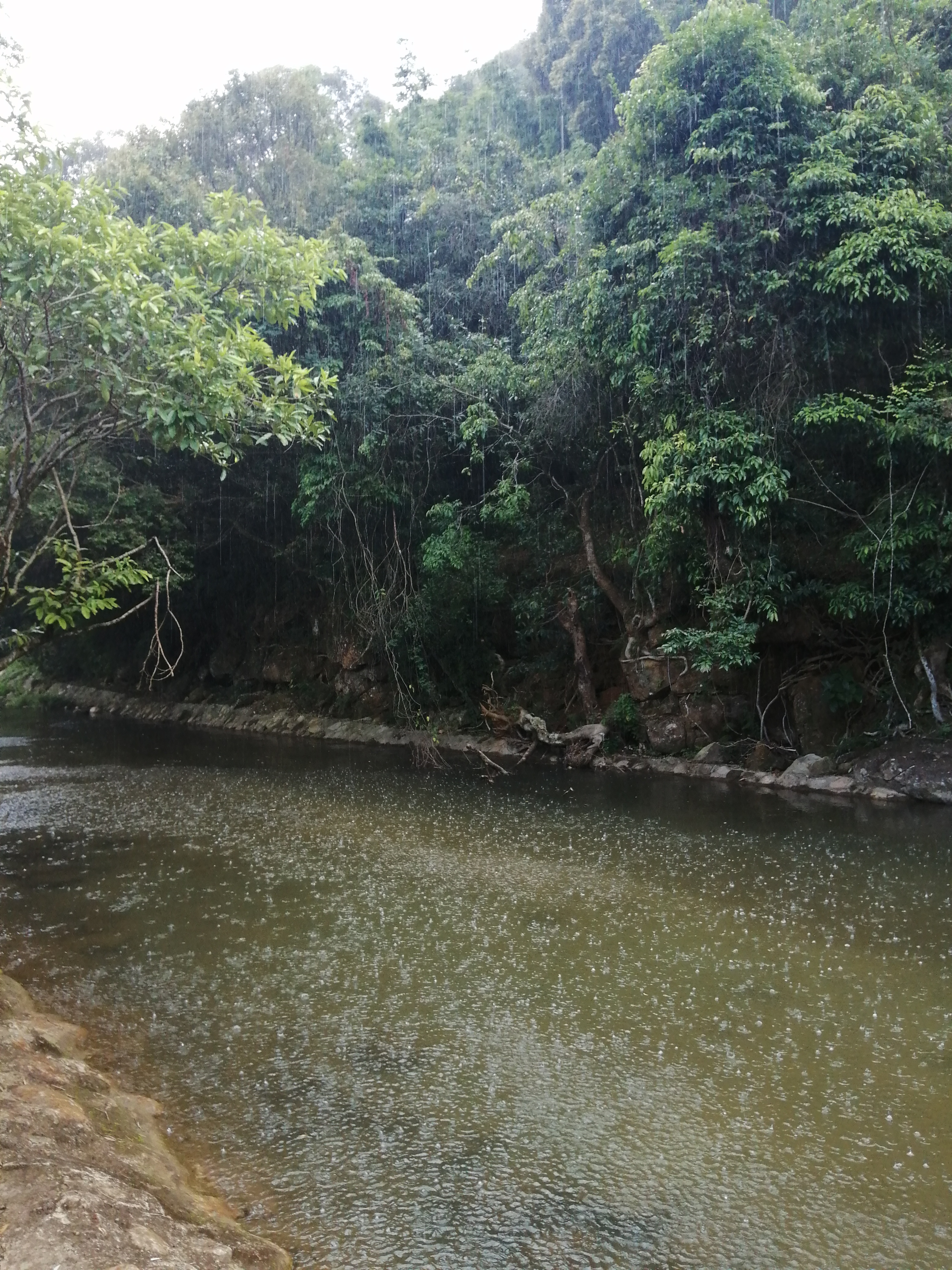 惠州罗浮山酥醪景区天然氧吧,罗浮山酥醪村天然氧吧民宿