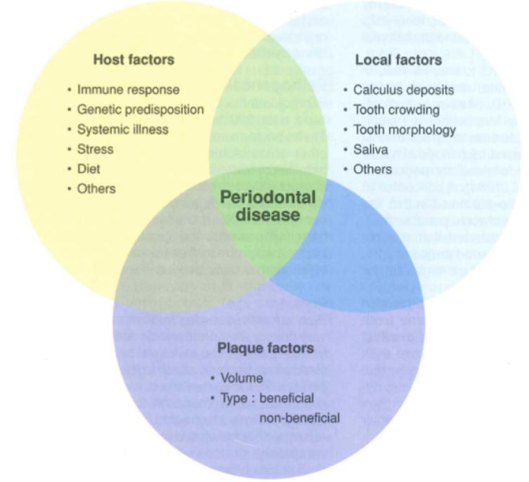 想亲狗狗它却要咬你,狗狗肠胃引起的口臭怎么办