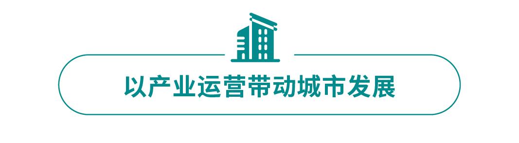 东湖高新集团的发展历程,图鉴图鉴