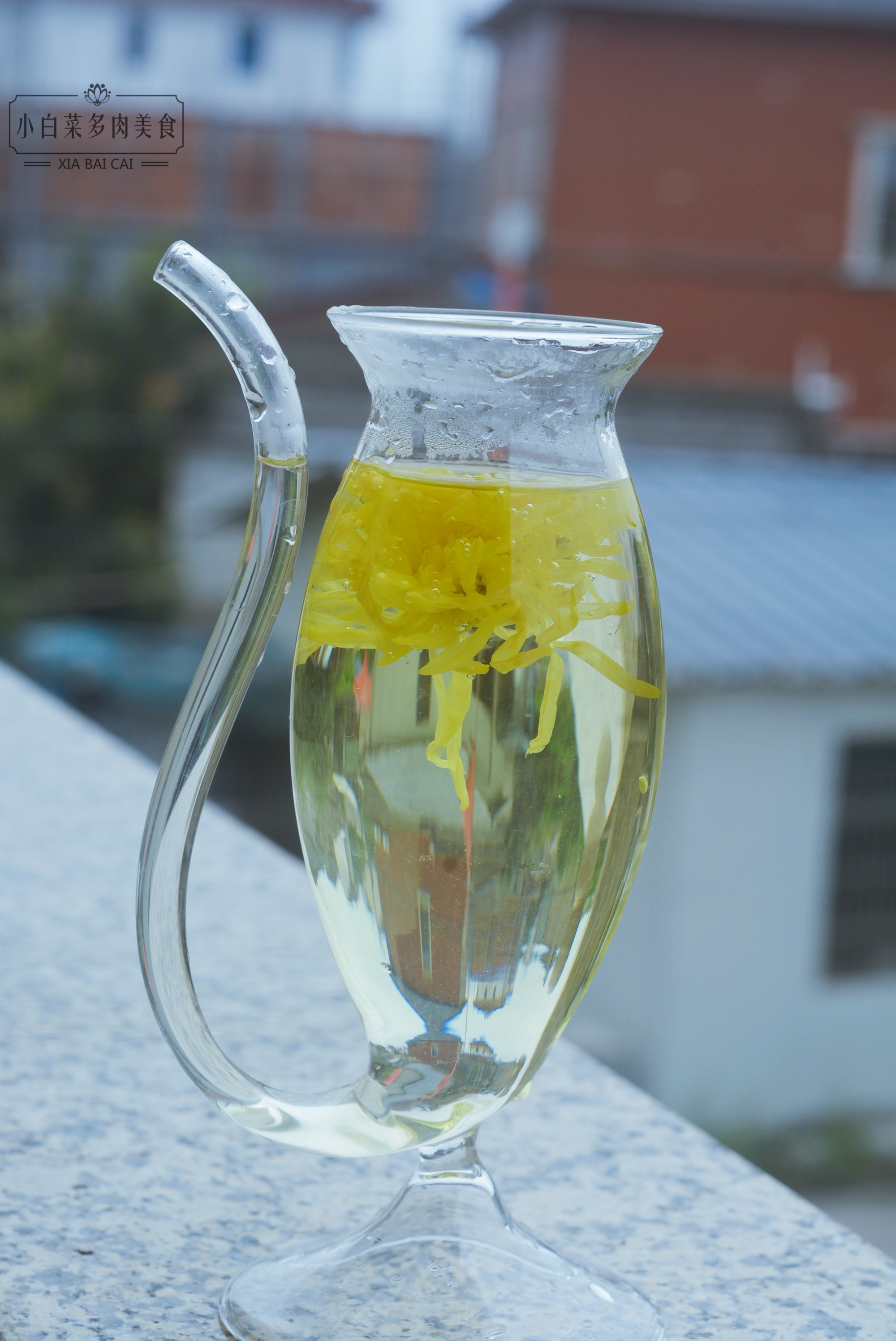 罗汉果菊花茶怎么泡才正确,胖大海菊花茶怎么泡才正确