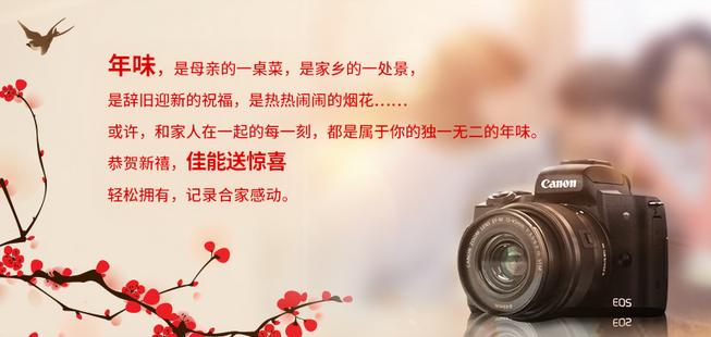 用镜头记录年味可以拍哪些,年货节佳能单反