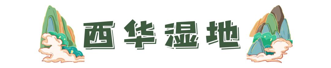 昆明去东川红土地最快的自驾线路,昆明一日游必去十大景点推荐自驾