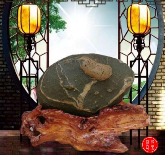 都是些什么“鸟石”？保证有你好看