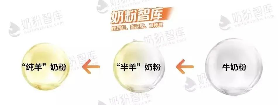 羊奶粉产业第一阵营,羊奶粉已成为超百亿的品类