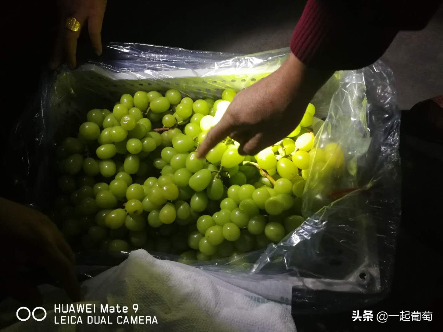 库存葡萄行情,2020年年底库存盘点清单