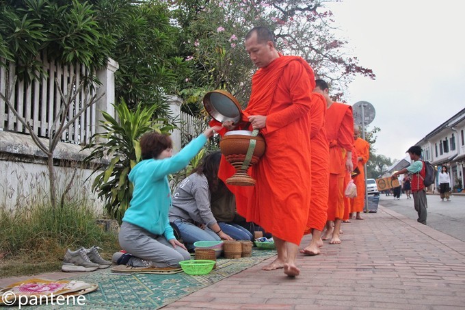 3月旅行最佳选择,3月旅行地点推荐亲子