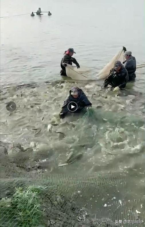 今年第一次上高速,今年第一次爬上山顶