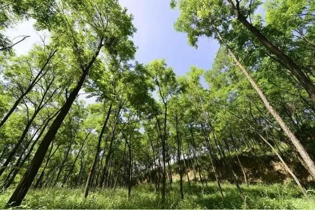 我在长武刚刚好，何必羡慕北上广