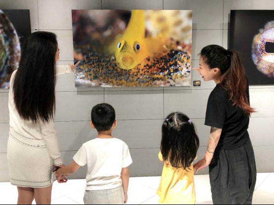 虎鲸宝宝现身北京来福士凯德17城39座购物中心乐享精彩夏日