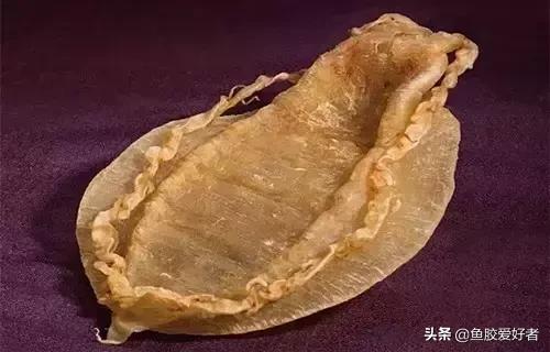 花胶涨发的正确方法,花胶的种类及区别