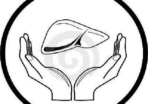 妊娠期肝病,妊娠期间肝功能异常要注意什么