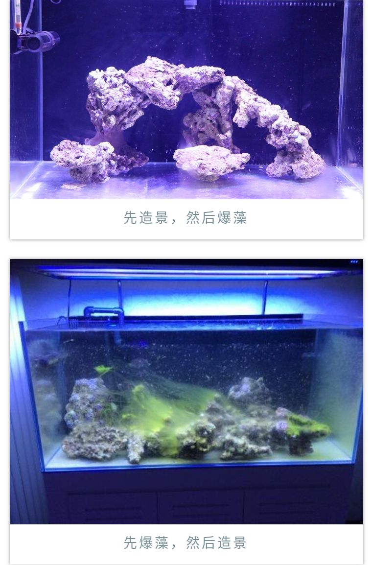 先造景再爆藻还是先爆藻再造景,先造景还是先养水