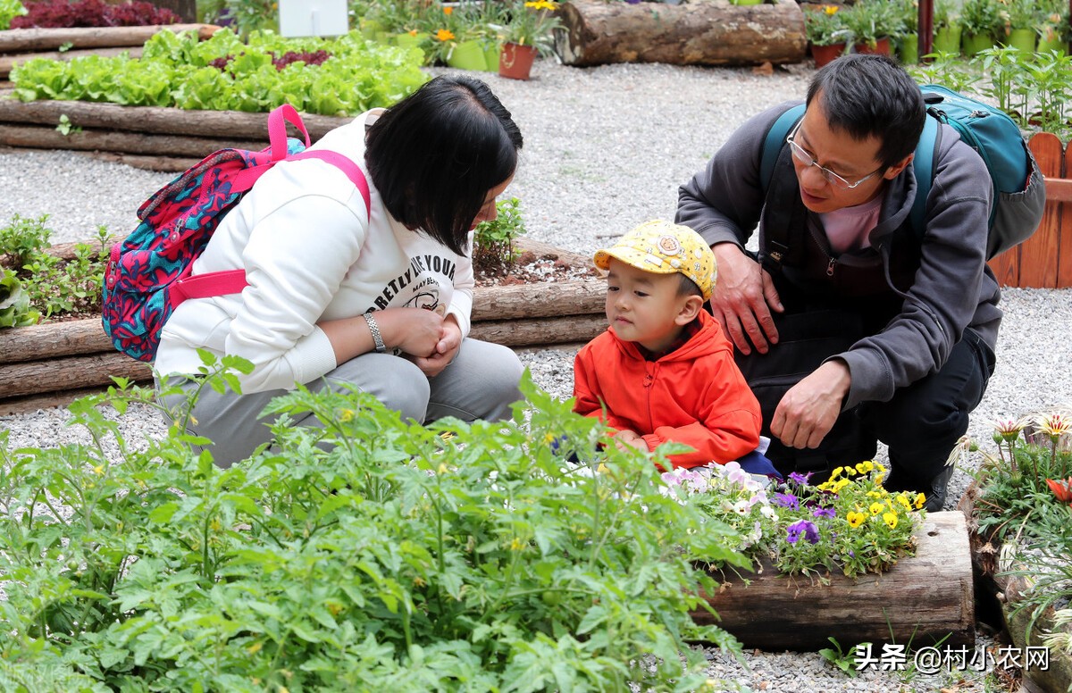 农村创业项目快速赚钱,新农村创业适合做的几个生意项目