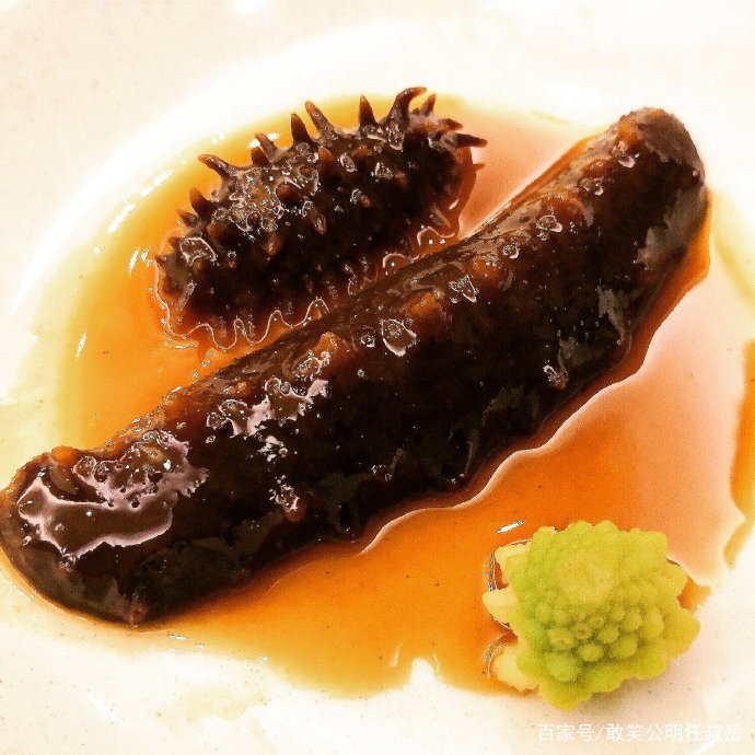 山东威海的特产海参,海参被称为什么之王