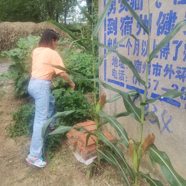 记忆中的安徽农村,安徽农村最落后的地方