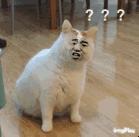 适合混合肤质30岁以上的面霜测评,任何肤质都可以用的一款面霜