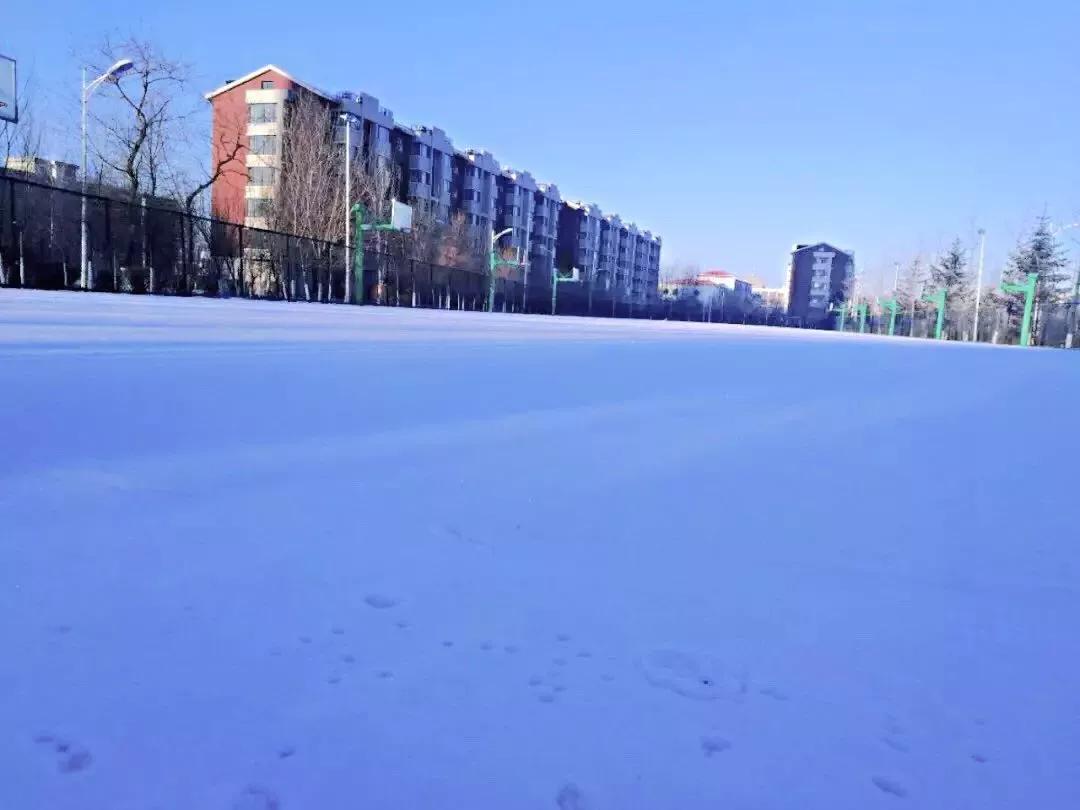 辽宁中医药大学杏林学院规模,辽宁中医学院杏林学院的排名