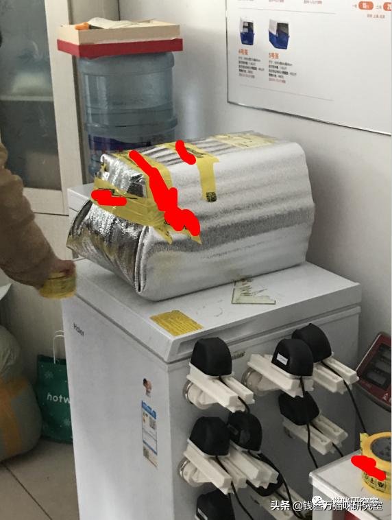 给大家介绍宠物托运的全过程,找托运宠物公司托运宠物注意什么