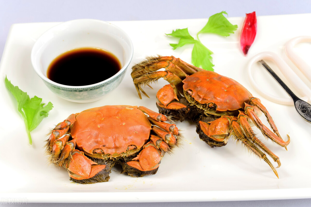 螃蟹蒸熟放冰箱好还是生着放好,蒸螃蟹时是肚子朝上还是朝下