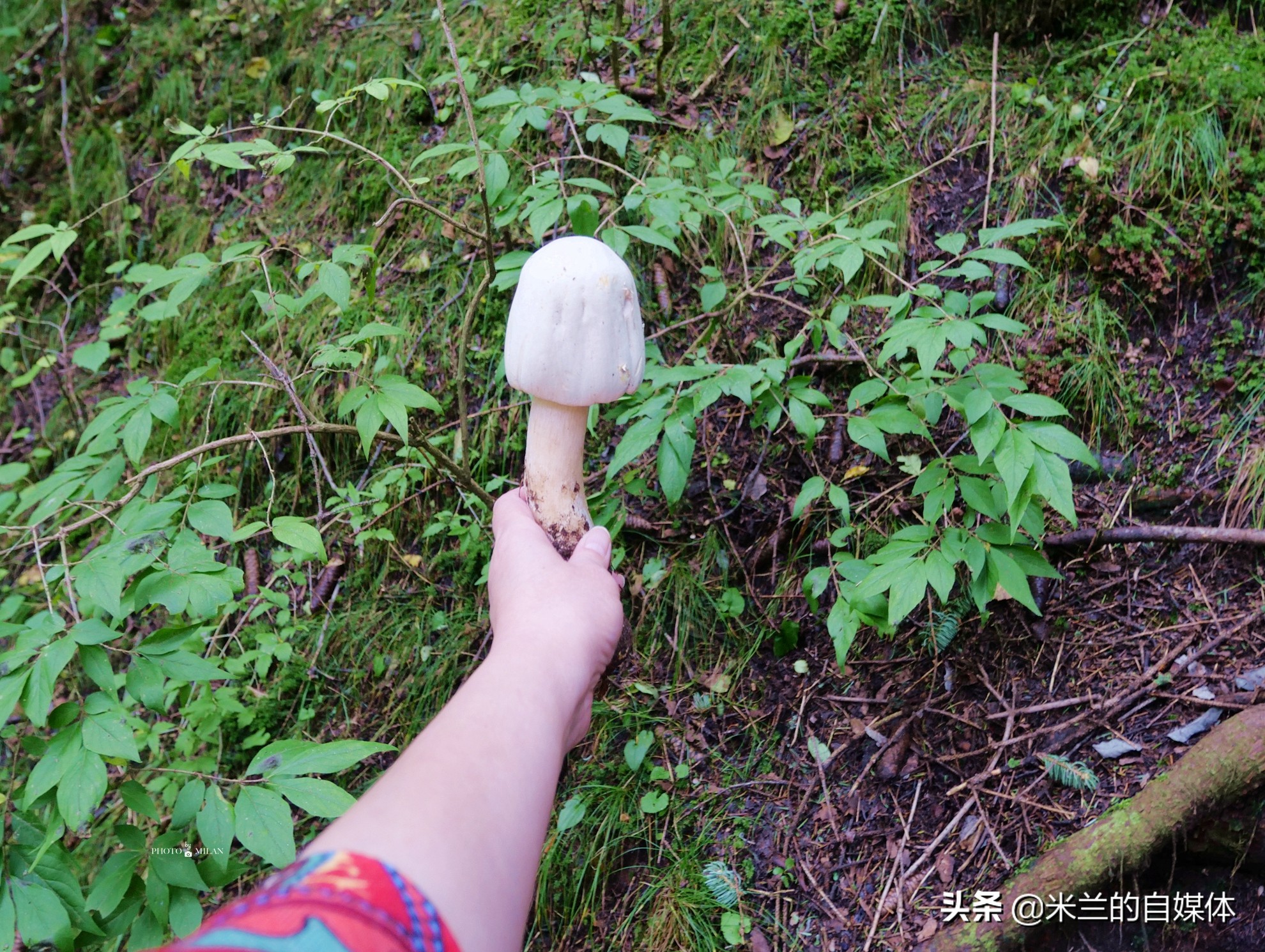 北京周边二日自驾游最佳路线图,北京周边自驾游两天一夜攻略草原