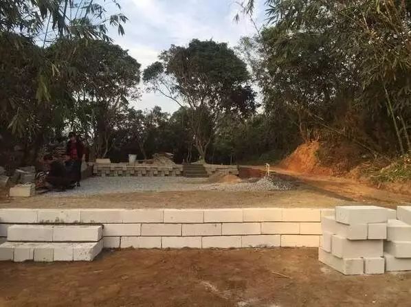 深山老林自建豪华木屋隐居生活,90后小情侣隐居深山建别墅仅花6万