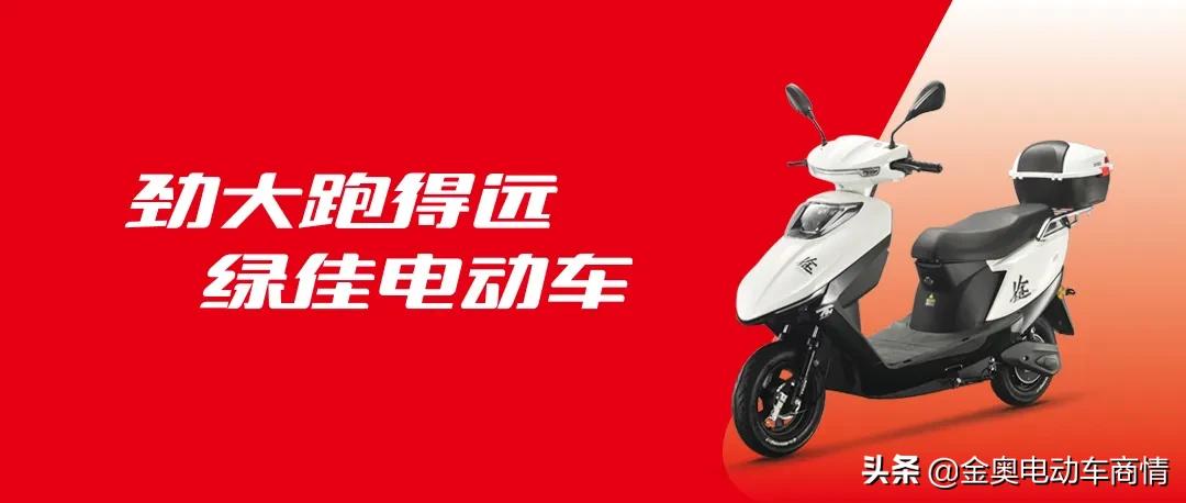 绿佳厂大么,绿佳电动车销量排名