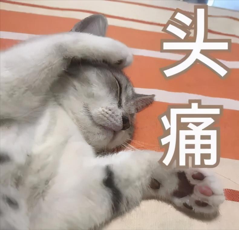 猫咪掉毛很严重补充什么维生素,猫咪脚上突然斑秃掉毛是怎么回事
