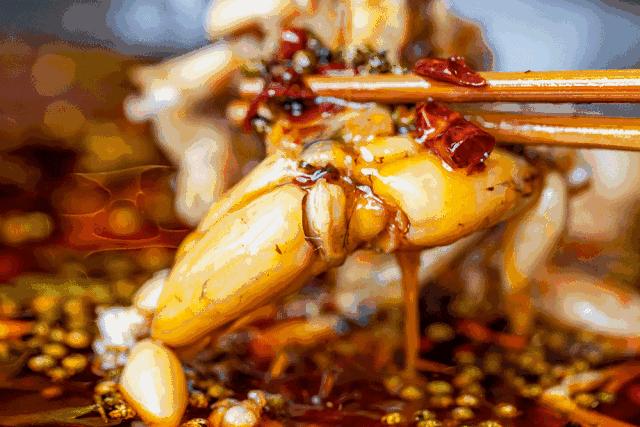 仔姜牛蛙自贡菜,蛙蛙鸡冷锅鱼最新